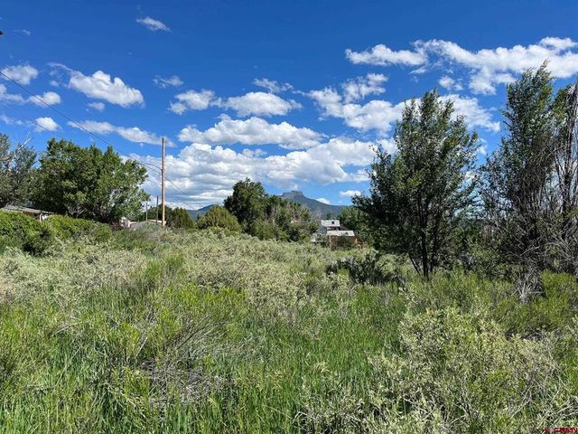 Willow St, Trinidad, CO 81082