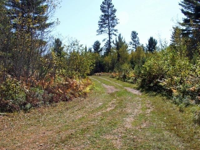 Forest Rd   #2127, Iron River, MI 49935