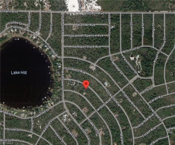 1214 Macaw Ave, Lake Placid, FL 33852