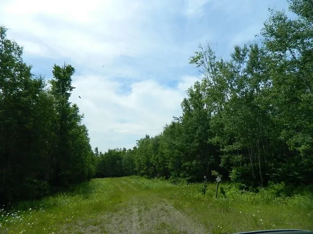 L10 L13 Northern Shrs, Winter, WI 54896