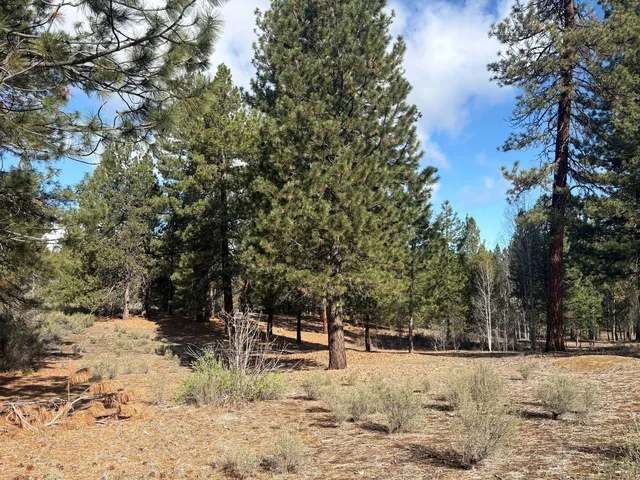 Pine Ridge Loop #5, Chiloquin, OR 97624