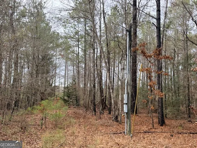 470/510 Ivey Farms Rd, Mc Intyre, GA 31054