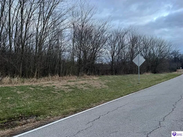 199AC Hedgepeth Rd, Canmer, KY 42722