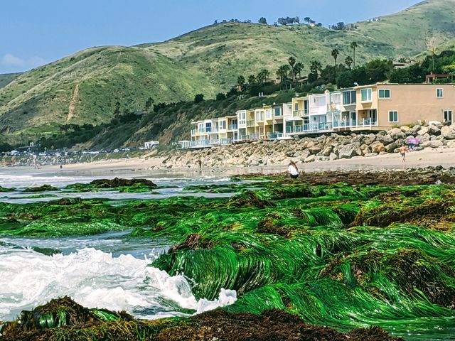 11770 Pacific Coast Hwy #DD, Malibu, CA 90265