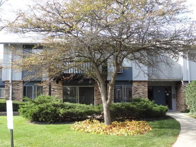 948 E  Old Willow Rd #201, Prospect Heights, IL 60070
