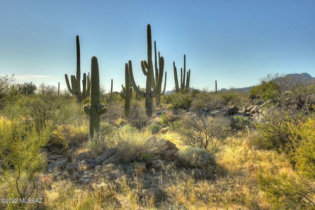 14451 N  Giant Saguaro Pl   #32, Tucson, AZ 85755