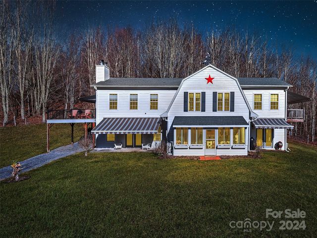 6780 Max Patch Rd, Clyde, NC 28721