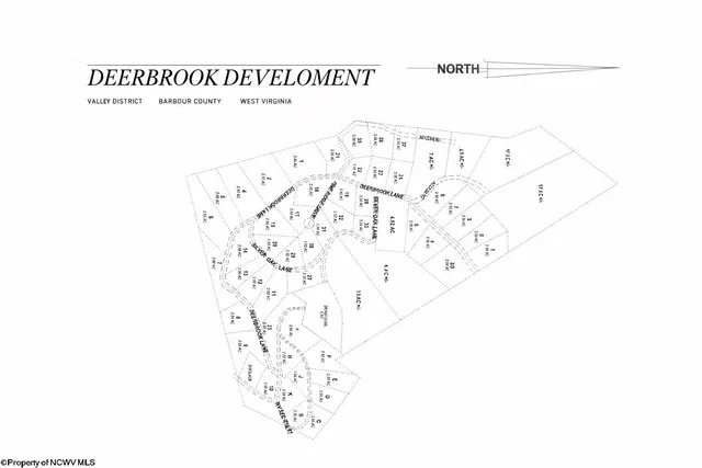 Lot 4 Deerbrook Ln, Belington, WV 26250