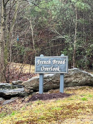 French Broad Overlook #2, Arden, NC 28704