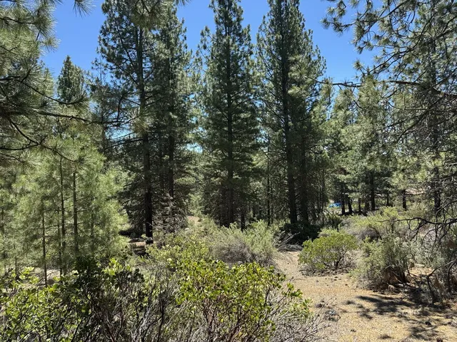 Friendship Dr, Chiloquin, OR 97624