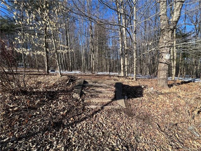 Lot 6.2 W State Route 52, Loch Sheldrake, NY 12759