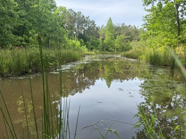 759 Highway 9 N, Bruce, MS 38915