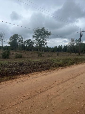 County Road 4502, Hillister, TX 77624