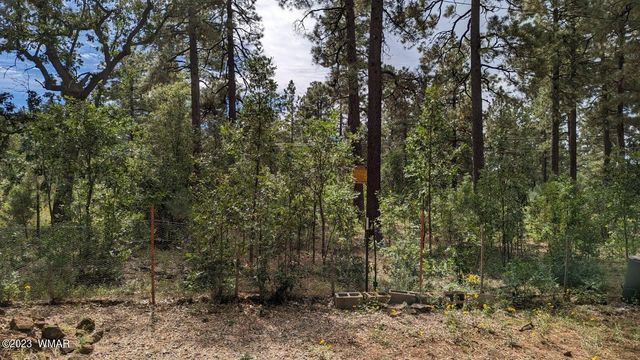 5949 Jackrabbit Trl, Pinetop, AZ 85935