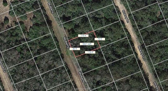 Lot 21 Hickory Ln, Normangee, TX 77871