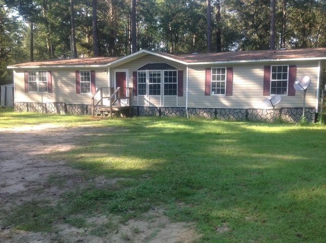 1603 Drane Smith Rd, Attapulgus, GA 39815