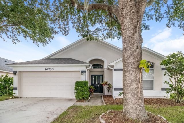 10733 Brown Trout Cir, Orlando, FL 32825