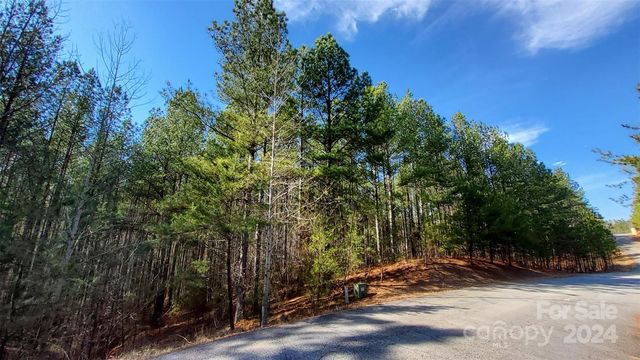 Sunset Dr #20, Mill Spring, NC 28756