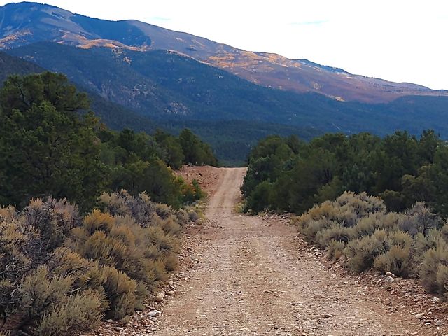 Middle Rd, Questa, NM 87556