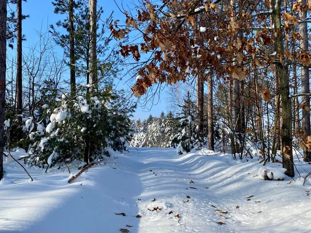 1840 Tree Farm Rd, Gaylord, MI 49735