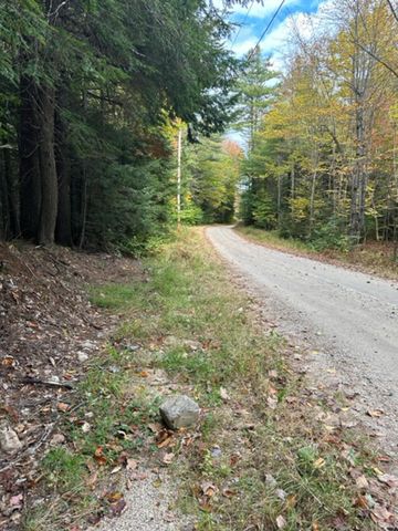 Lot 85 Thurston Road, Brownfield, ME 04010