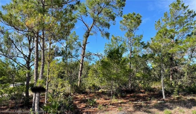 1087 Aleutian St NE, Lake Placid, FL 33852