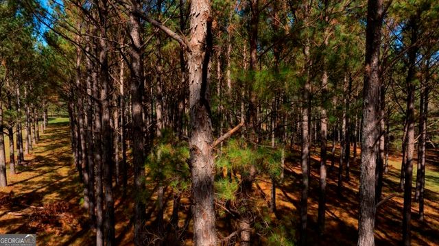Bethel Rd #8, Sylvania, GA 30467