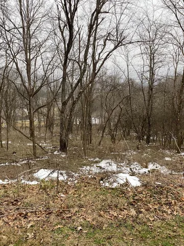 Ridgecrest Dr, North Tazewell, VA 24630
