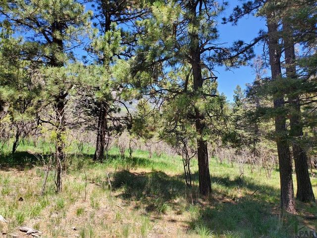 Spanish Peaks Dr   W  #46, Aguilar, CO 81020