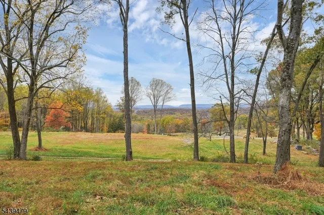 83 Danville Mountain Rd, Great Meadows, NJ 07838