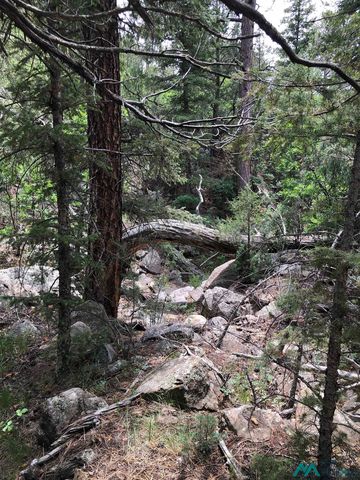 61 Trail Canyon Rd, Raton, NM 87740