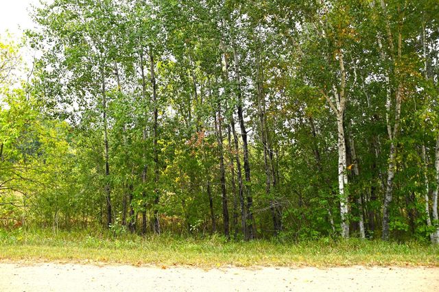 Lot 20 Orchard Dr, Browerville, MN 56438