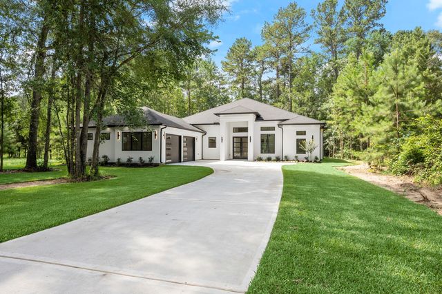 117 Sandpiper Dr, New Waverly, TX 77358
