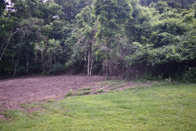 Turkey Creek Hwy #1, Carthage, TN 37030