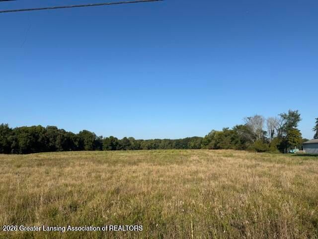 12260 S  Wacousta Rd, Eagle, MI 48822
