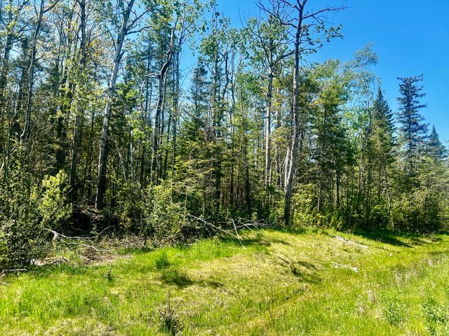 6116 E  US Highway 23, Cheboygan, MI 49721
