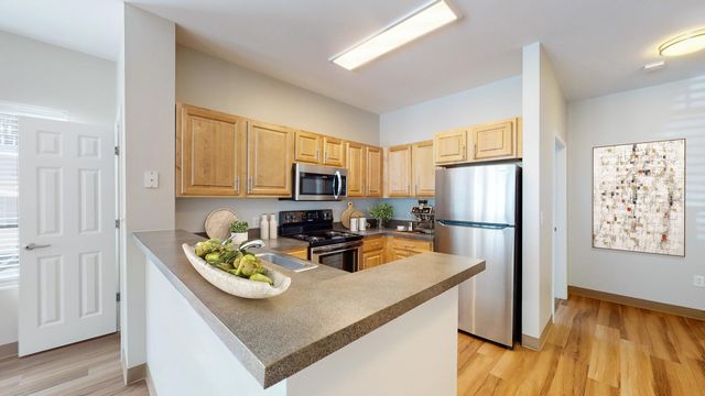 10 Independence Way #306, Franklin, MA 02038