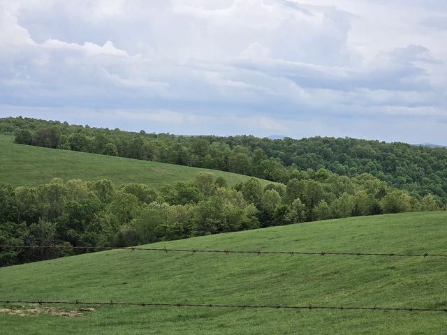 2610 Rushing Ridge Rd, Harrison, AR 72601