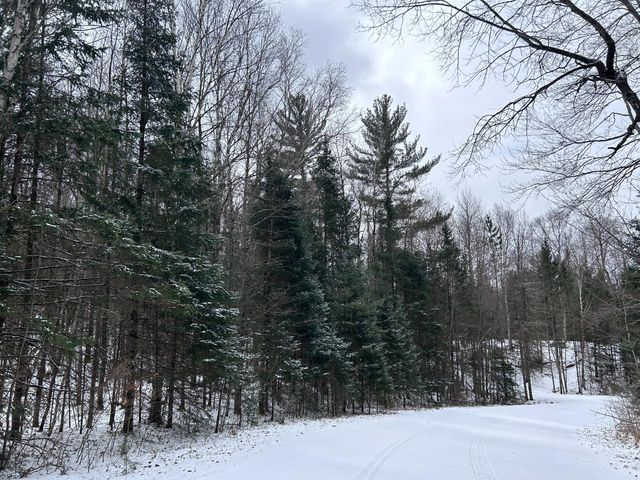 Lot 10 Moonshine Valley Rd, Presque Isle, WI 54557