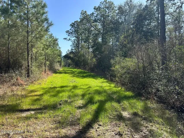 Tract 6416 S  Douglas Ferry Rd, Caryville, FL 32427
