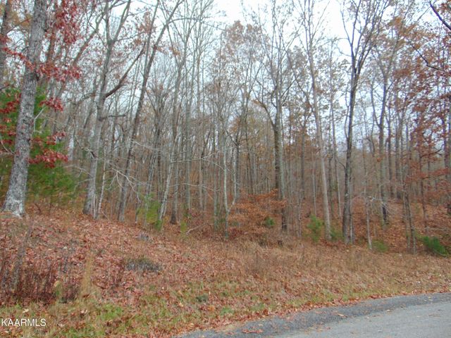 1056AC County Road 179, Decatur, TN 37322