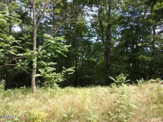 Lot 254 Marble Point Way, New Tazewell, TN 37825