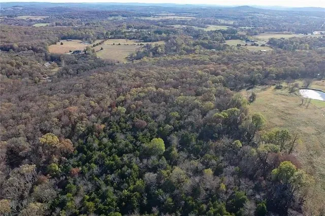 Newton Cres #8650-2, Jasper, AR 72641