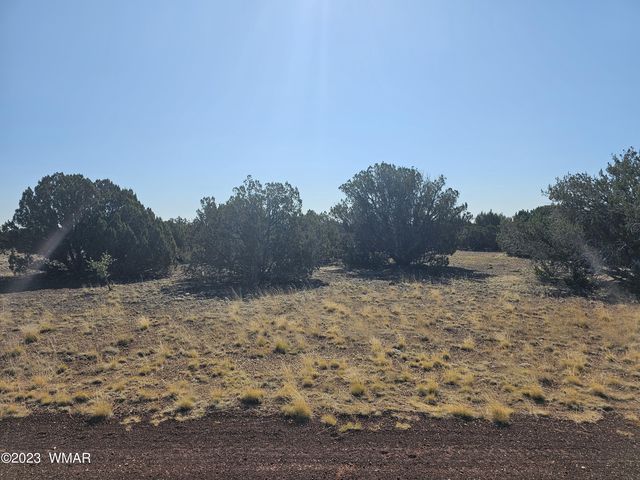 2301 Sitgreaves St, Show Low, AZ 85901