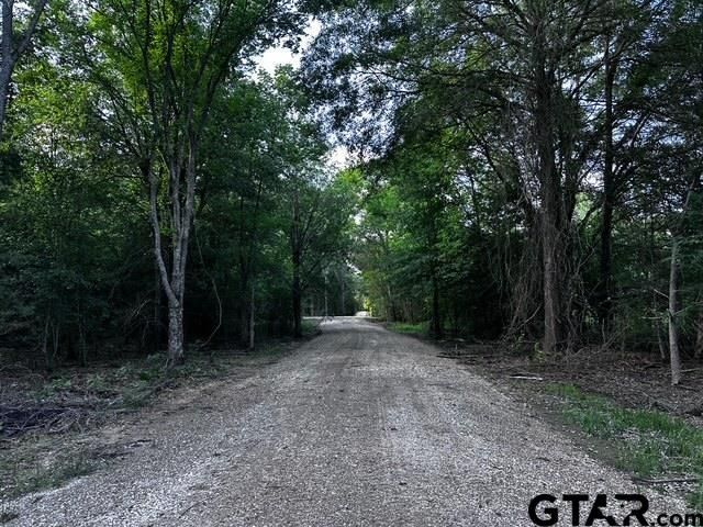 Tract C 337 Private Rd #8507, Van, TX 75790