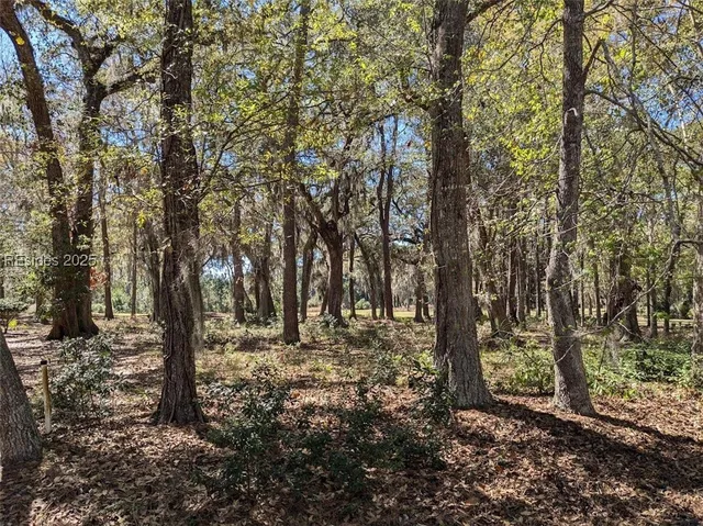 30 Volunteers Rdg, Daufuskie Island, SC 29915