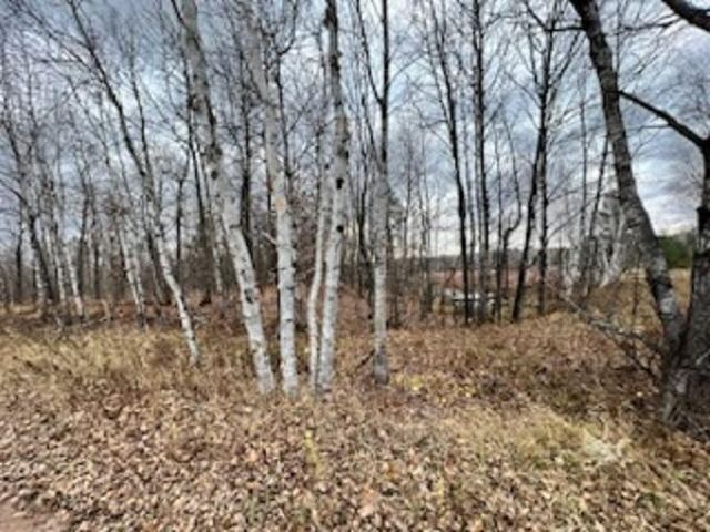 N  Gravel Pit Rd, Iron River, WI 54847