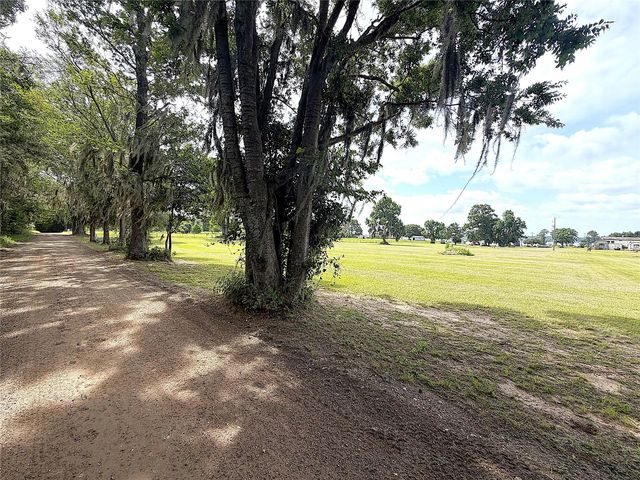 247 S  Skains Chapel Rd, Trinity, TX 75862