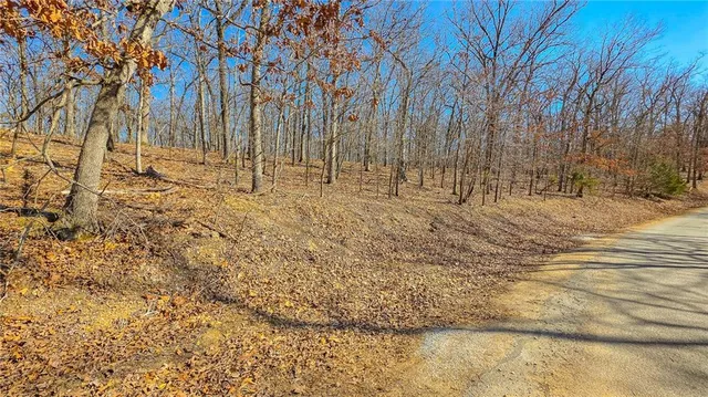 450 Grand View Dr, Sunrise Beach, MO 65079