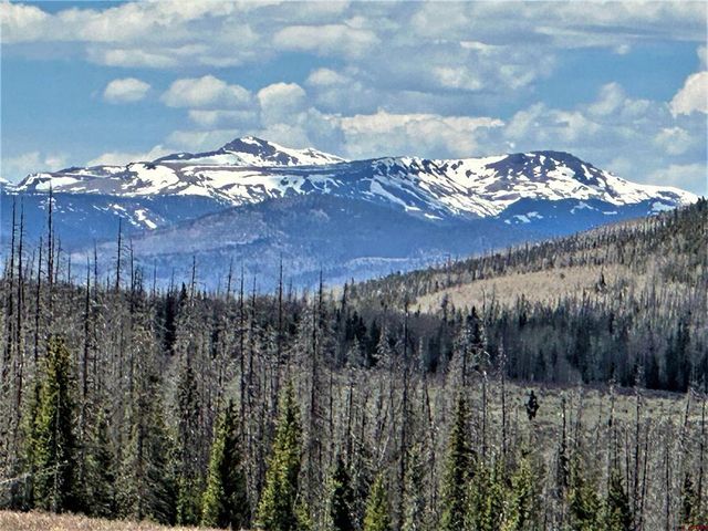 Fs Rd   #610, Creede, CO 81130